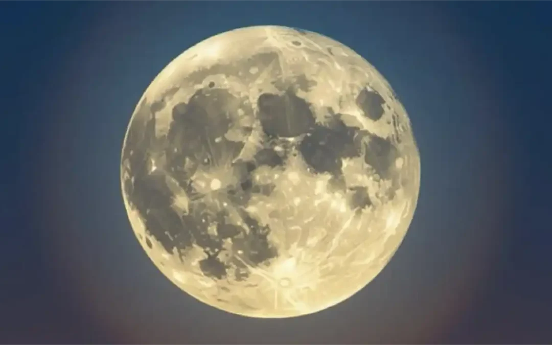 Sparking Wonder: Celebrate Their Marvels