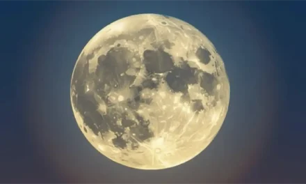 Sparking Wonder: Celebrate Their Marvels