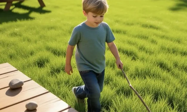 Wandering Freely: Roam Without Aim